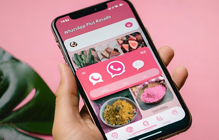 consideraciones-previas-de-whatsapp-plus-rosado